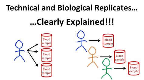 technical replicates vs biological replicates